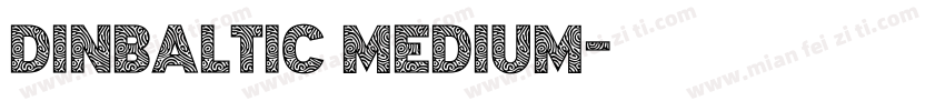 DINBaltic Medium字体转换